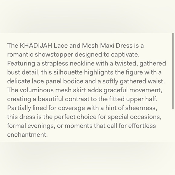 Meshki Khadijah lace & mesh maxi dress - Picture 8 of 9